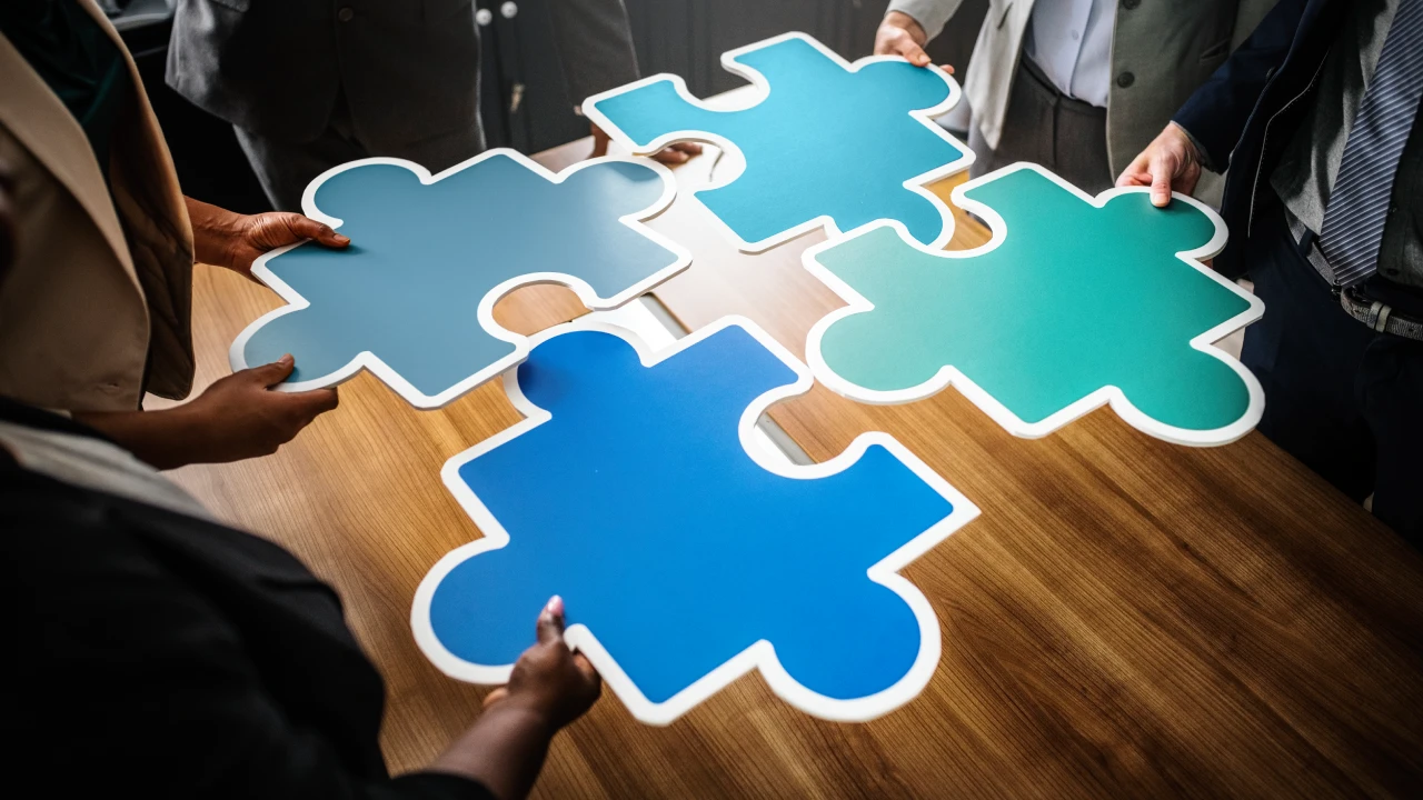 Collaborate with Stakeholders